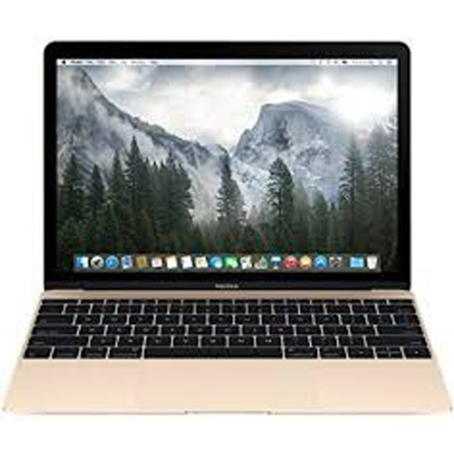 Ordinateurs Portables Apple MacBook 12.0 MK4M2F/A