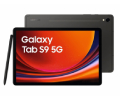 Tablettes Tactiles Samsung Galaxy Tab S9 5G 12/256GB