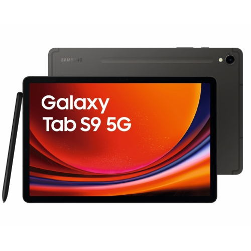  Tablettes Tactiles Samsung Galaxy Tab S9 5G 12/256GB