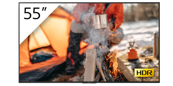 T�l�viseurs Sony FWD-55X 70H/T