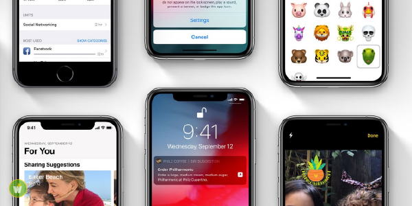 Il vaudrait peut-tre mieux viter la dernire mise  jour iOS 12.1.2 sur votre iPhone